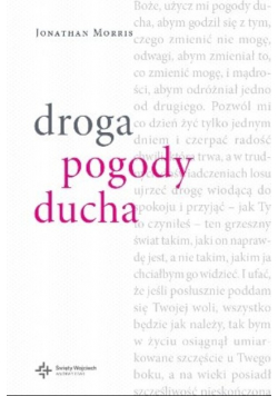 Droga pogody ducha