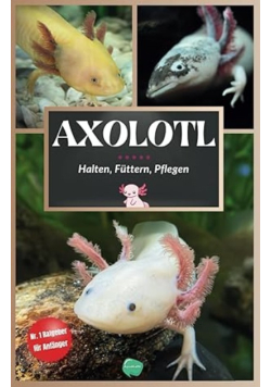Axolotl