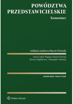 Powództwa przedstawicielskie. Komentarz