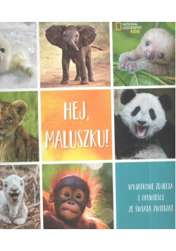 Hej maluszku!