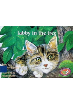Tabby in the tree