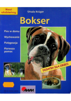 Bokser