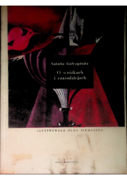o wróżkach i czarownicach