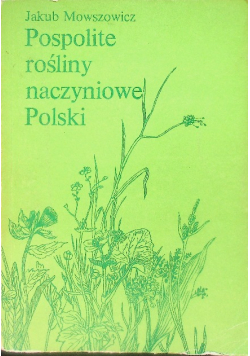 Pospolite rośliny naczyniowe Polski