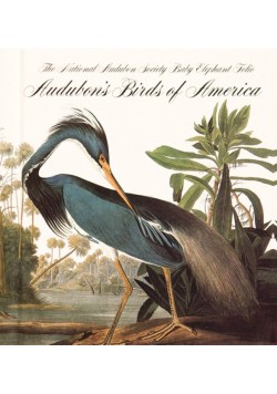 He Birds of America