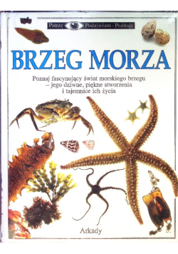 Patrzę Podziwiam Poznaję Brzeg Morza