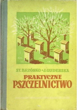 Praktyczne pszczelnictwo