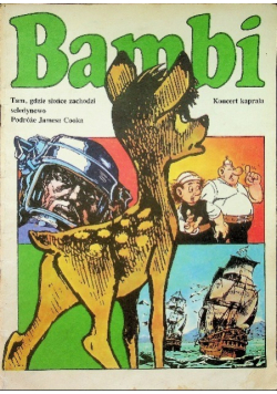 Bambi tam gdzie słońce zachodzi seledynowo