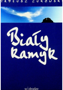 Biały kamyk