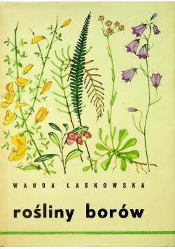 Rośliny borów