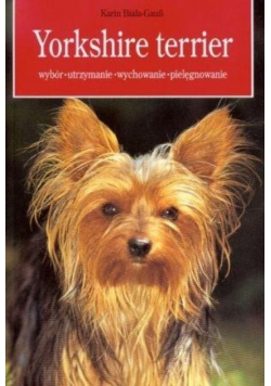 Yorkshire terrier