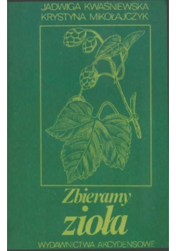 Zbieramy zioła