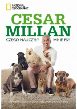 Czego nauczyły mnie psy.
