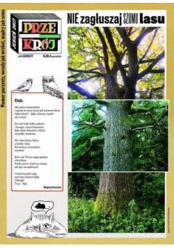 Przekrój Nr 4 / 17