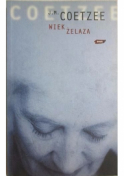 Wiek żelaza