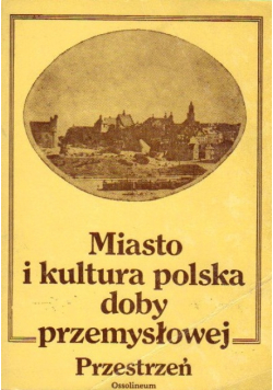Miasto i kultura polska doby przemysłowej Przestrzeń