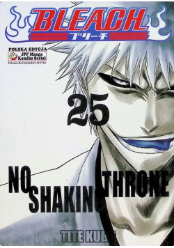 Bleach Tom 25