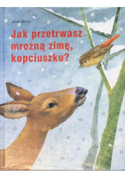 Jak przetrwasz mroźną zimę kopciuszku