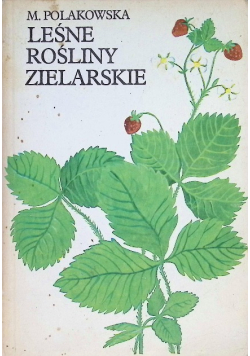 Leśne rośliny zielarskie