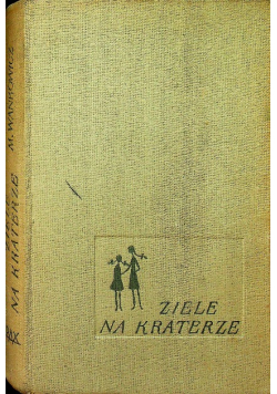 Ziele na kraterze
