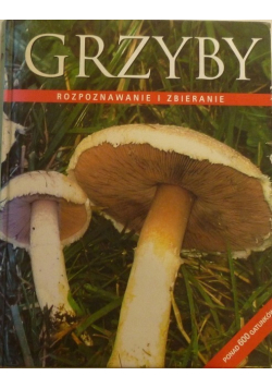 Grzyby Rozpoznawanie i zbieranie