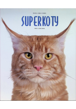Superkoty