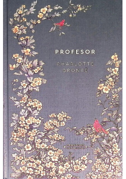 Profesor