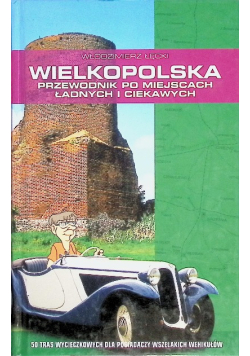 Wielkopolska przewodnik po miejscach ładnych i ciekawych