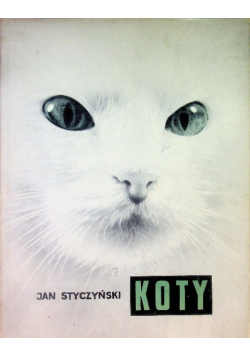 Koty