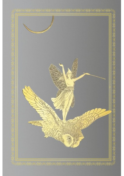 The Grey Fairy Book