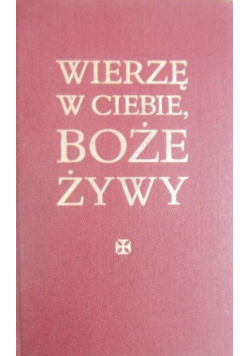 Wierzę w Ciebie Boże Żywy