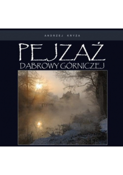 Pejzaż Dąbrowy Górniczej