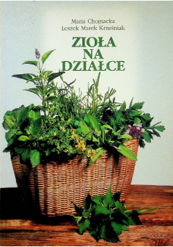 Zioła na działce