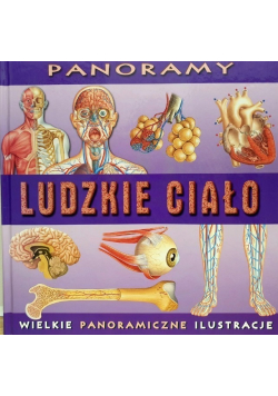 Panoramy Ludzkie Ciało