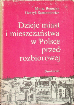 Dzieje miast i mieszczaństwa w Polsce przedrozbiorowej