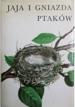 Jaja i gniazda ptaków