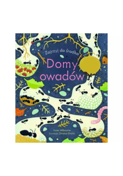 Domy owadów. Zajrzyj do środka