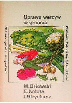 Uprawa warzyw w gruncie
