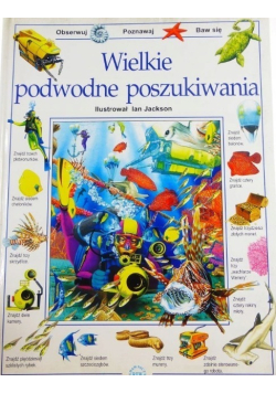 Wielkie podwodne poszukiwania