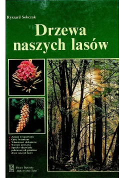 Drzewa naszych lasów