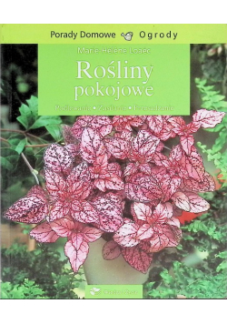 Rośliny pokojowe