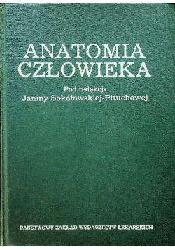 Anatomia człowieka