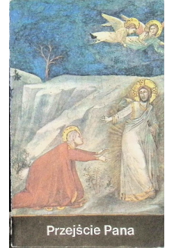 Przejście Pana