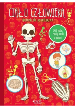 Ciało człowieka. Anatomia dla początkujących