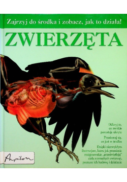 Zwierzęta