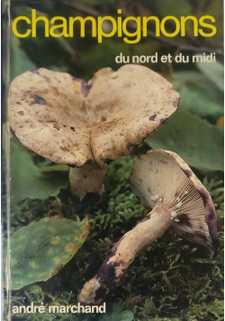 Champignons du nord et du midi. Tom 6