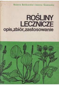 Rośliny lecznicze opis zbiór zastosowanie
