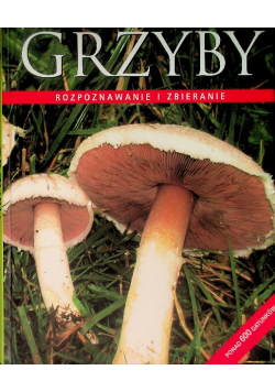 Grzyby Rozpoznawanie i zbieranie
