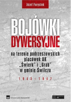 Bojówki dywersyjne