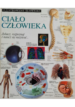 Ciało człowieka Zobacz, rozpoznaj i naucz się nazywać Ilustrowane słowniki